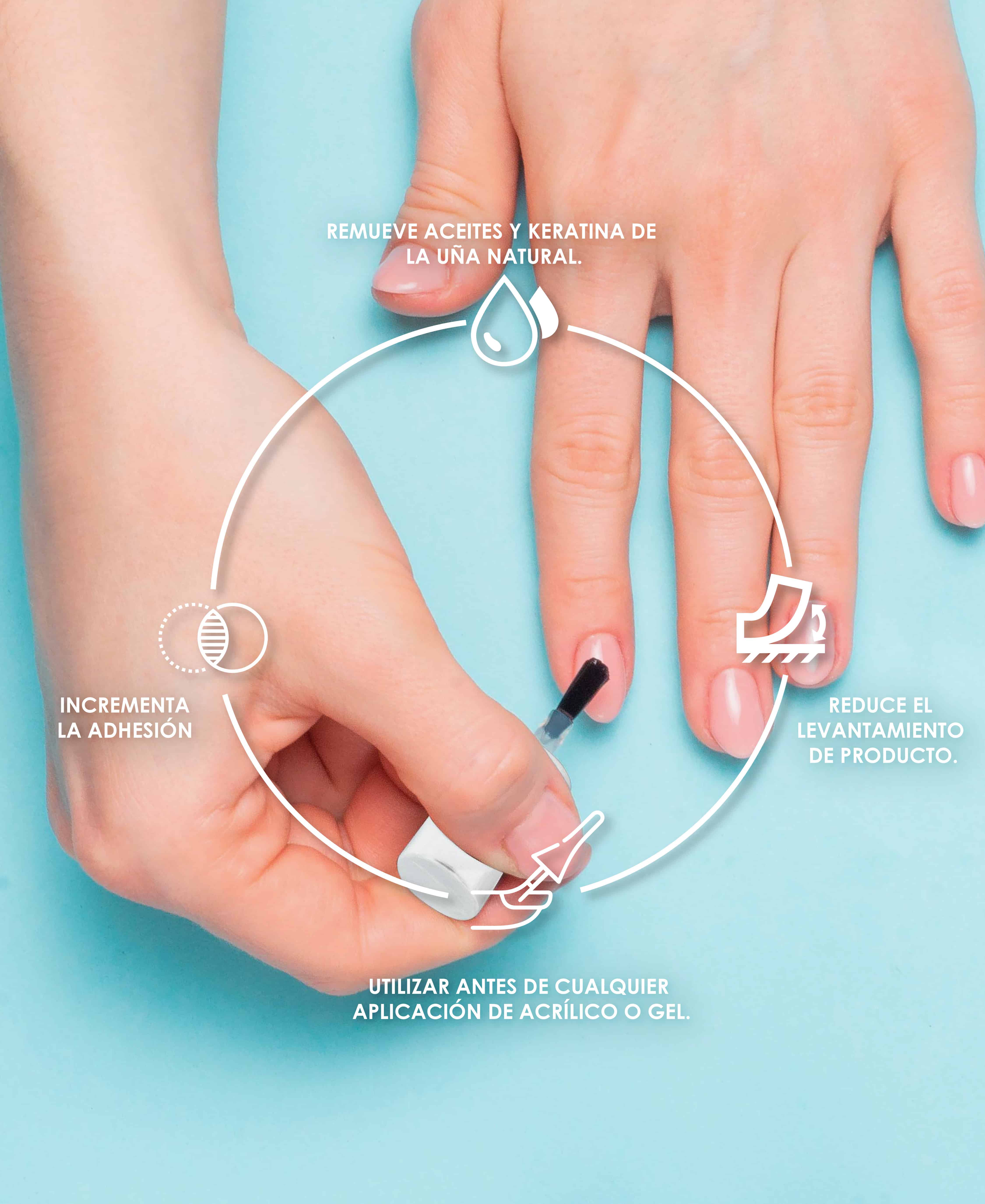 Nail Anatomy: How LEGACY NAILS Products Provide the Best Care 7 CARRUSEL DESHIDRATADOR DE UNAS 02 1