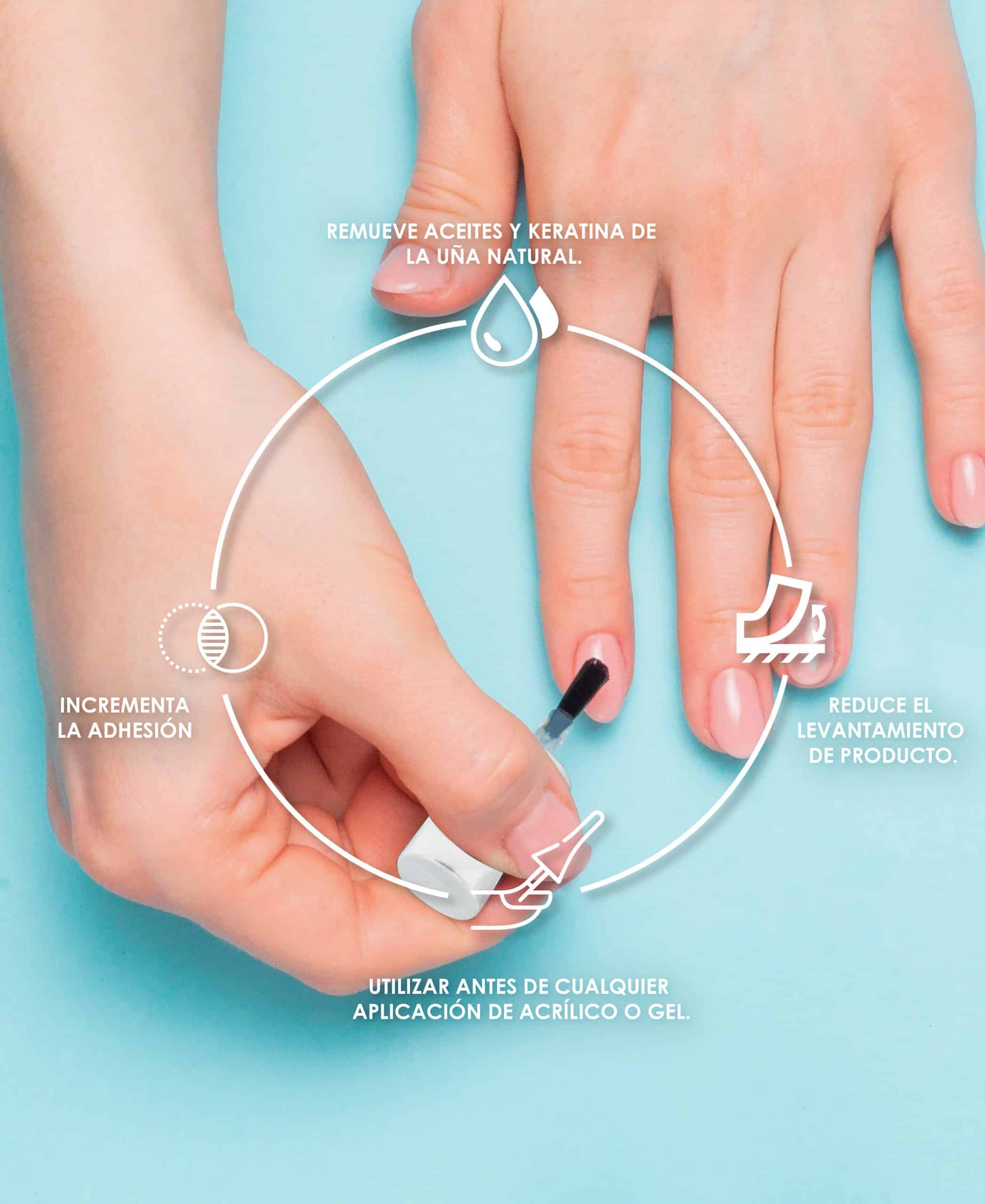 El Secreto de las Uñas Perfectas: Identificando la Cantidad de Grasa con el Deshidratador LEGACY